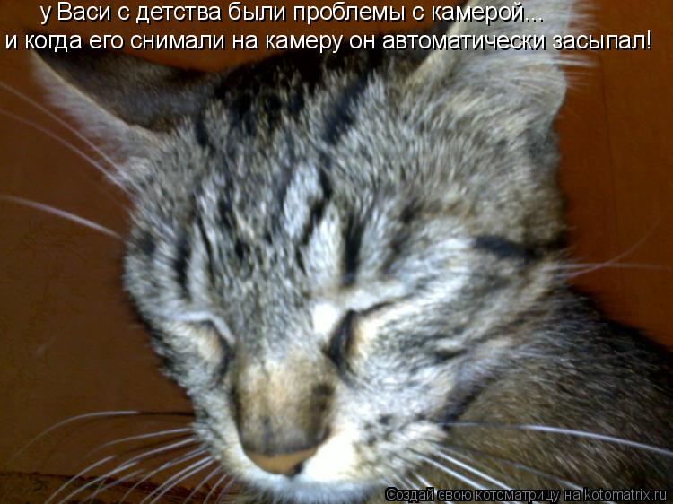 Котоматрица: у Васи с детства были проблемы с камерой... и когда его снимали на камеру он автоматически засыпал!