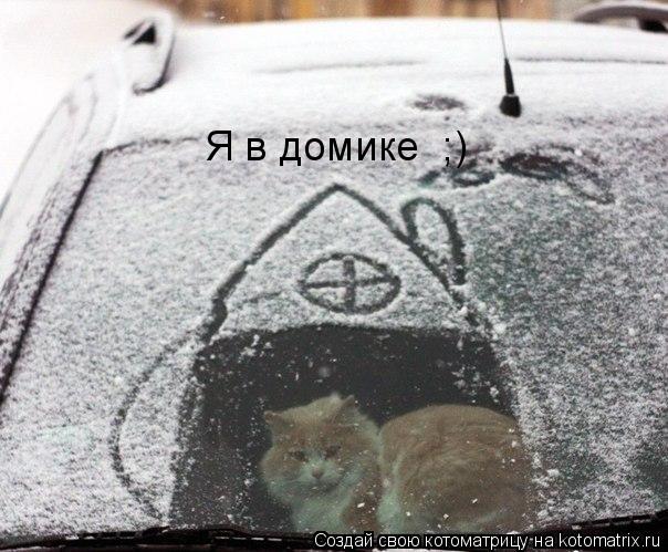 Котоматрица: Я в домике  ;)