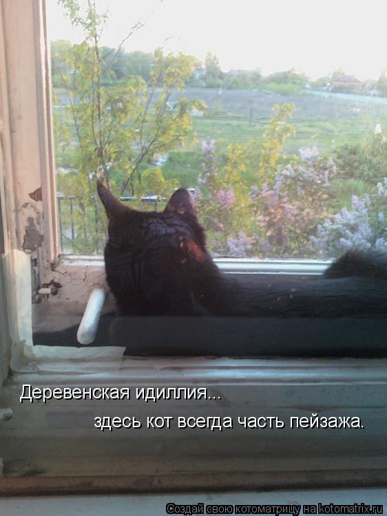 Деревенская идиллия... здесь кот всегда часть пейзажа.... Котоматрица: Деревенская идиллия... здесь кот всегда часть пейзажа.