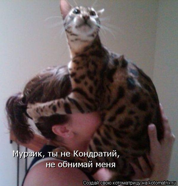 Мурзик, ты не Кондратий, не обнимай меня... Котоматрица: Мурзик, ты не Кондратий, не обнимай меня