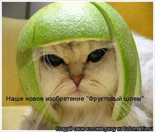 Наше новое изобретение "Фруктовый шлем"... Котоматрица: Наше новое изобретение "Фруктовый шлем"