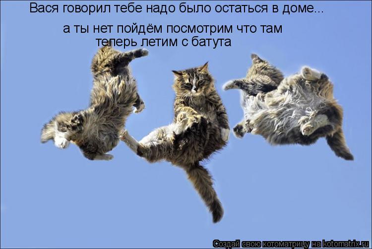 Вася говорил тебе надо было остаться в доме... а ты нет пойдём посмотрим что там теперь летим с батут... Котоматрица: Вася говорил тебе надо было остаться в доме... а ты нет пойдём посмотрим что там теперь летим с батута