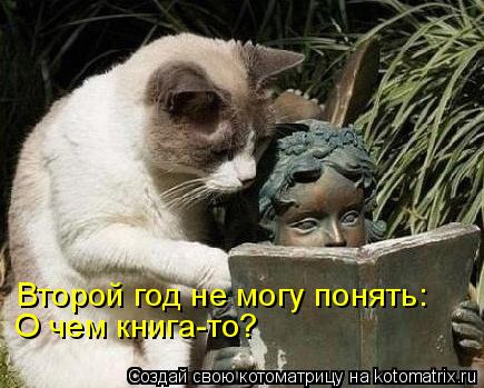 Второй год не могу понять: О чем книга-то?... Котоматрица: Второй год не могу понять: О чем книга-то?