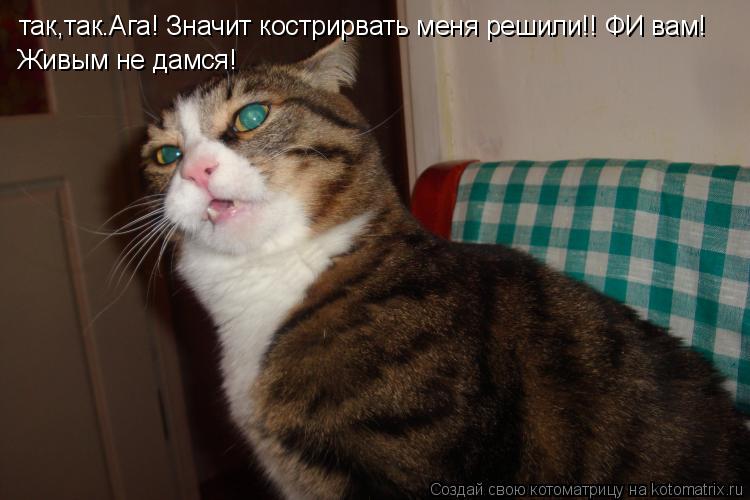 так,так.Ага! Значит кострирвать меня решили!! ФИ вам! Живым не дамся!... Котоматрица: так,так.Ага! Значит кострирвать меня решили!! ФИ вам! Живым не дамся!
