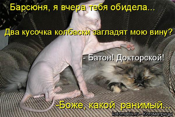 Барсюня, я вчера тебя обидела... Два кусочка колбаски загладят мою вину? - Батон! Докторской! -Боже,... Котоматрица: Барсюня, я вчера тебя обидела... Два кусочка колбаски загладят мою вину? - Батон! Докторской! -Боже, какой ранимый...