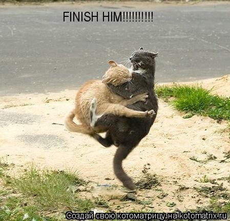 FINISH HIM!!!!!!!!!!... Котоматрица: FINISH HIM!!!!!!!!!!