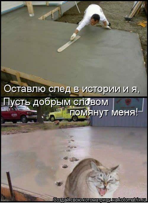 Оставлю след в истории и я, Пусть добрым словом помянут меня!... Котоматрица: Оставлю след в истории и я, Пусть добрым словом помянут меня!