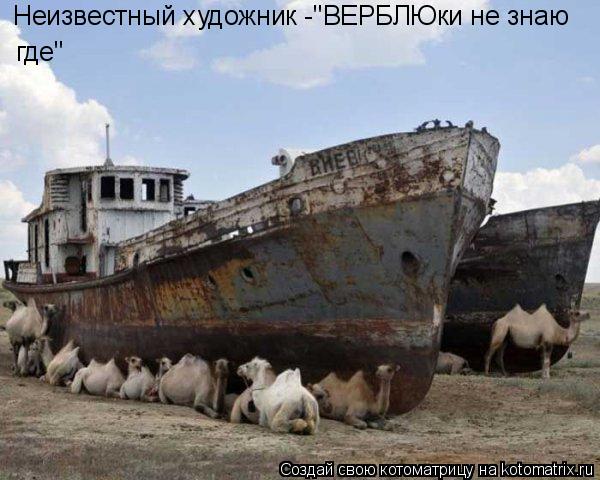 Неизвестный художник -"ВЕРБЛЮки не знаю где"... Котоматрица: Неизвестный художник -"ВЕРБЛЮки не знаю где"