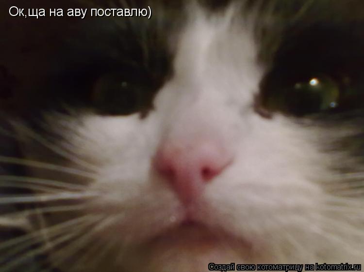 Ок,ща на аву поставлю)... Котоматрица: Ок,ща на аву поставлю)