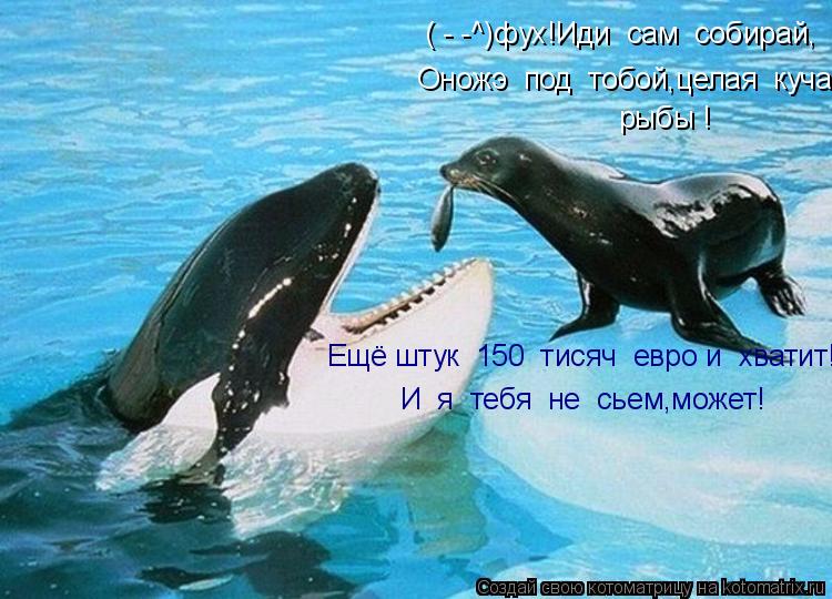Ещё штук 150 тисяч евро и хватит! И я тебя не сьем,может! ( - -^)фух!Иди сам собирай, Оножэ... Котоматрица: Ещё штук 150 тисяч евро и хватит! И я тебя не сьем,может! ( - -^)фух!Иди сам собирай, Оножэ под тобой,целая куча рыбы !