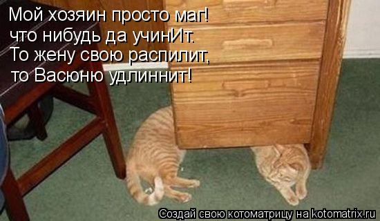 Мой хозяин просто маг! что нибудь да учинИт. То жену свою распилит, то Васюню удлиннит!... Котоматрица: Мой хозяин просто маг! что нибудь да учинИт. То жену свою распилит, то Васюню удлиннит!