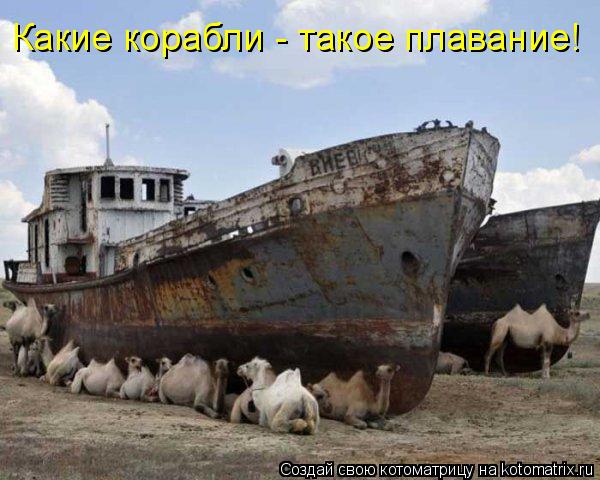 Какие корабли - такое плавание!... Котоматрица: Какие корабли - такое плавание!