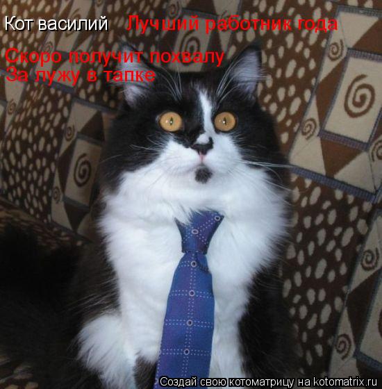 Кот василий За лужу в тапке Скоро получит похвалу Лучший работник года... Котоматрица: Кот василий За лужу в тапке Скоро получит похвалу Лучший работник года