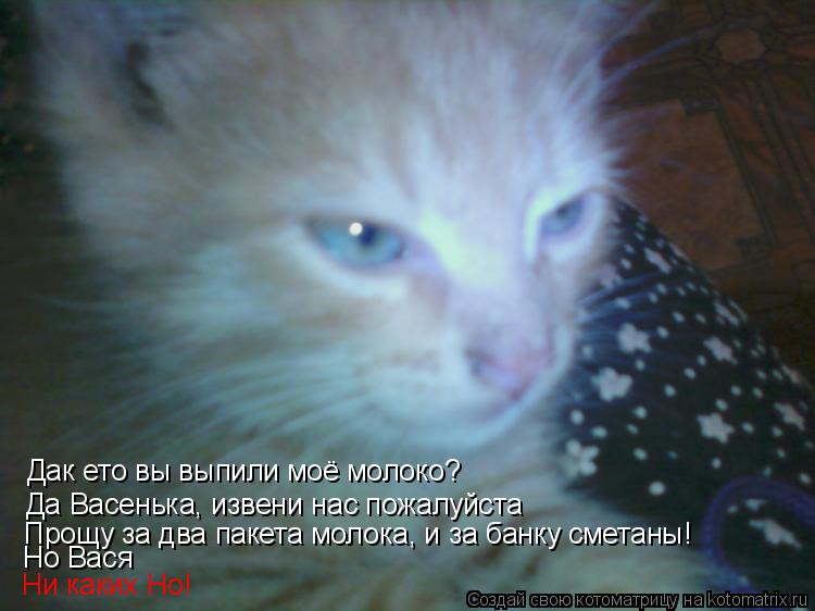 Дак ето вы выпили моё молоко? Да Васенька, извени нас пожалуйста Прощу за два пакета молока, и за бан... Котоматрица: Дак ето вы выпили моё молоко? Да Васенька, извени нас пожалуйста Прощу за два пакета молока, и за банку сметаны! Но Вася Ни каких Но!