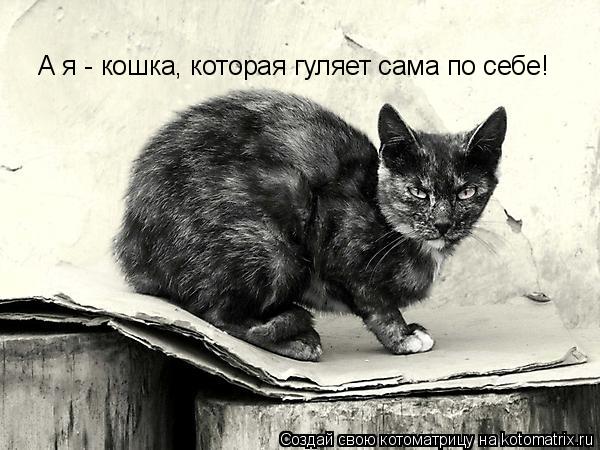 А я - кошка, которая гуляет сама по себе!... Котоматрица: А я - кошка, которая гуляет сама по себе!