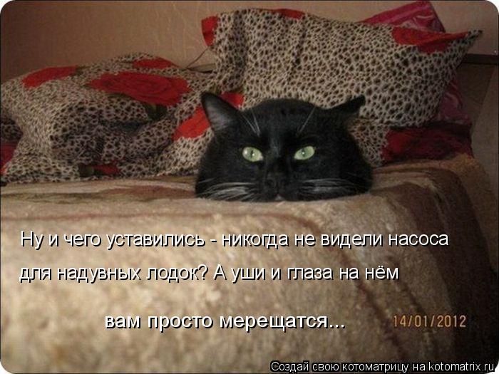 Ну и чего уставились - никогда не видели насоса для надувных лодок? А уши и глаза на нём вам просто ... Котоматрица: Ну и чего уставились - никогда не видели насоса для надувных лодок? А уши и глаза на нём вам просто мерещатся...