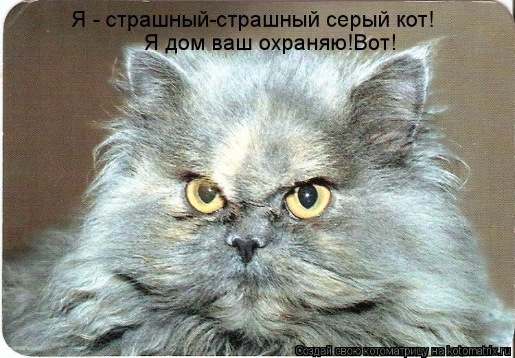 Я - страшный-страшный серый кот! Я дом ваш охраняю!Вот!... Котоматрица: Я - страшный-страшный серый кот! Я дом ваш охраняю!Вот!