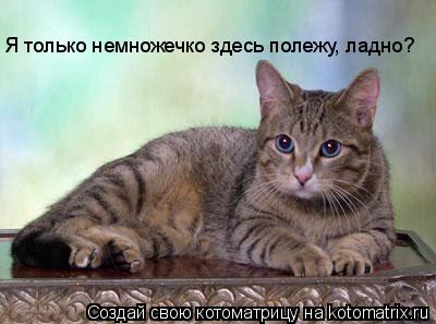 Я только немножечко здесь полежу, ладно?... Котоматрица: Я только немножечко здесь полежу, ладно?
