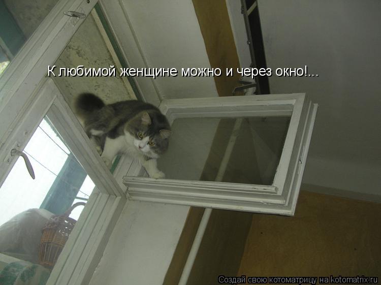 К любимой женщине можно и через окно!...... Котоматрица: К любимой женщине можно и через окно!...
