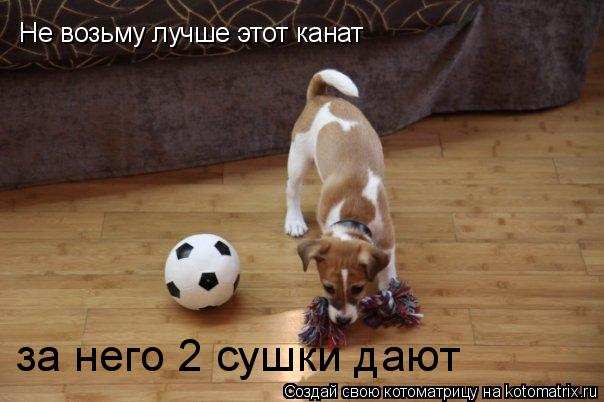 Не возьму лучше этот канат Не возьму лучше этот канат за него 2 сушки дают... Котоматрица: Не возьму лучше этот канат Не возьму лучше этот канат за него 2 сушки дают