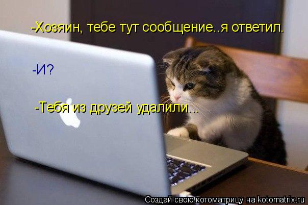 Котоматрица: -Хозяин, тебе тут сообщение..я ответил. -И? -Тебя из друзей удалили...