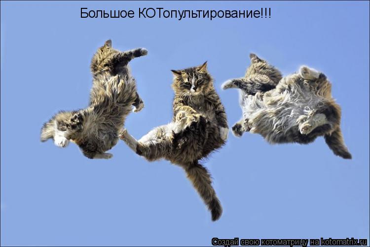 Котоматрица: Большое КОТопультирование!!!