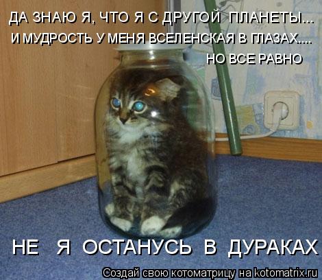 Котоматрица: ДА ЗНАЮ Я, ЧТО Я С ДРУГОЙ  ПЛАНЕТЫ... И МУДРОСТЬ У МЕНЯ ВСЕЛЕНСКАЯ В ГЛАЗАХ.... НО ВСЕ РАВНО НЕ   Я  ОСТАНУСЬ  В  ДУРАКАХ !