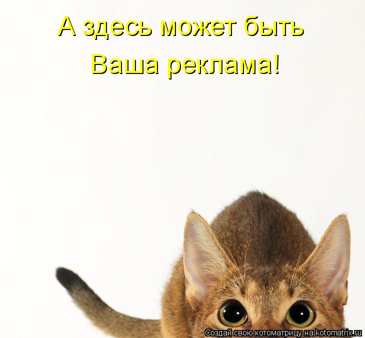 Котоматрица: А здесь может быть  Ваша реклама!