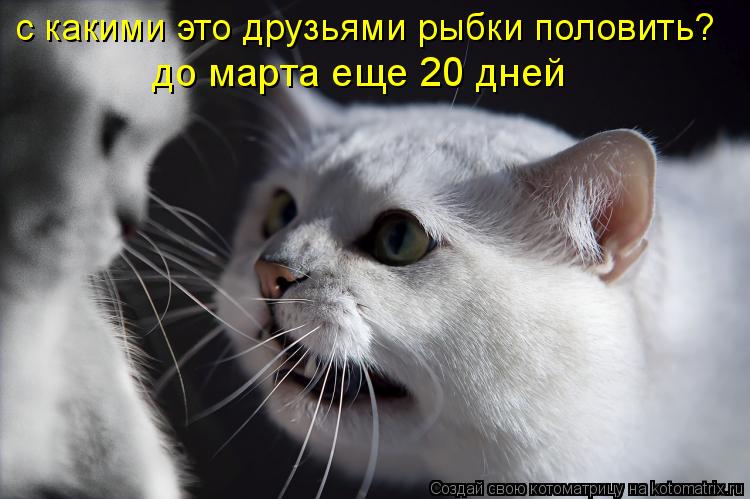 до марта еще 20 дней с какими это друзьями рыбки половить?... Котоматрица: до марта еще 20 дней с какими это друзьями рыбки половить?