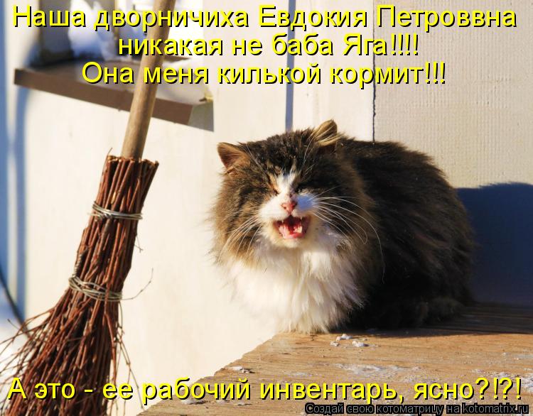 Наша дворничиха Евдокия Петроввна Она меня килькой кормит!!! А это - ее рабочий инвентарь, ясно?!?! ... Котоматрица: Наша дворничиха Евдокия Петроввна Она меня килькой кормит!!! А это - ее рабочий инвентарь, ясно?!?! никакая не баба Яга!!!!