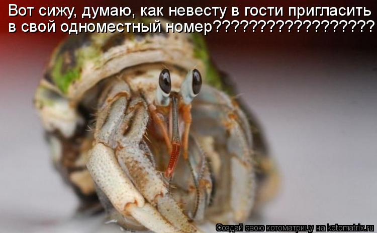 Вот сижу, думаю, как невесту в гости пригласить в свой одноместный номер??????????????????... Котоматрица: Вот сижу, думаю, как невесту в гости пригласить в свой одноместный номер??????????????????