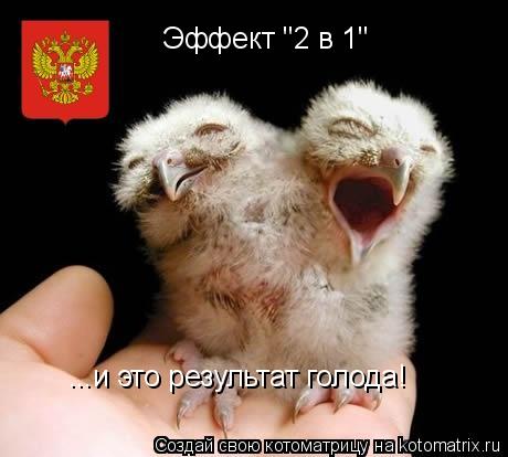 Эффект "2 в 1" ...и это результат голода!... Котоматрица: Эффект "2 в 1" ...и это результат голода!