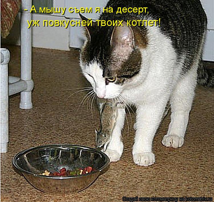 - А мышу съем я на десерт, уж повкусней твоих котлет!... Котоматрица: - А мышу съем я на десерт, уж повкусней твоих котлет!