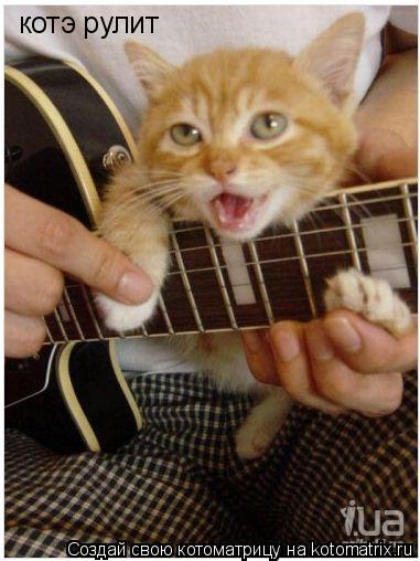 котэ рулит... Котоматрица: котэ рулит