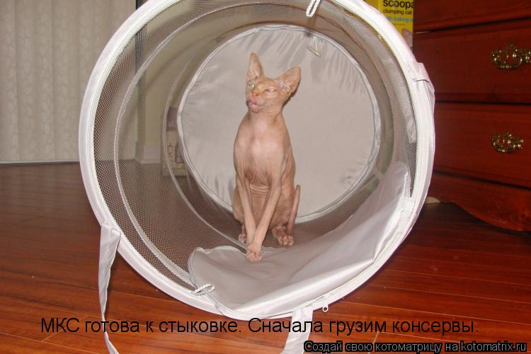 МКС готова к стыковке. Сначала грузим консервы.... Котоматрица: МКС готова к стыковке. Сначала грузим консервы.