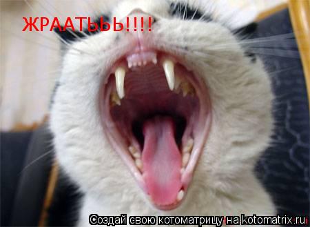 ЖРААТЬЬЬ!!!! ЖРААТЬЬЬ!!!!... Котоматрица: ЖРААТЬЬЬ!!!! ЖРААТЬЬЬ!!!!