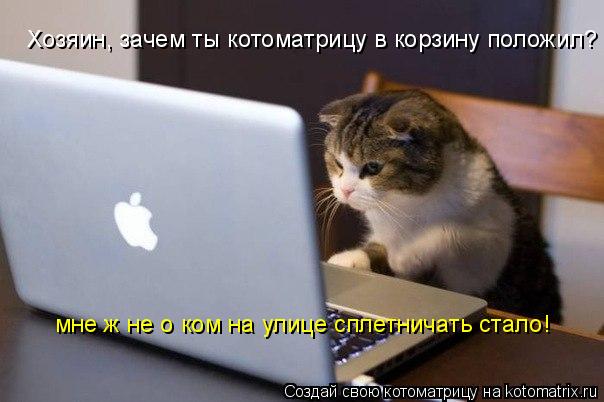 Хозяин, зачем ты котоматрицу в корзину положил? мне ж не о ком на улице сплетничать стало!... Котоматрица: Хозяин, зачем ты котоматрицу в корзину положил? мне ж не о ком на улице сплетничать стало!