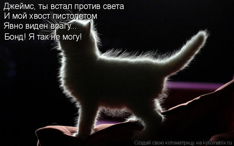 Джеймс, ты встал против света И мой хвост пистолетом Явно виден врагу... Бонд! Я так не могу!... Котоматрица: Джеймс, ты встал против света И мой хвост пистолетом Явно виден врагу... Бонд! Я так не могу!