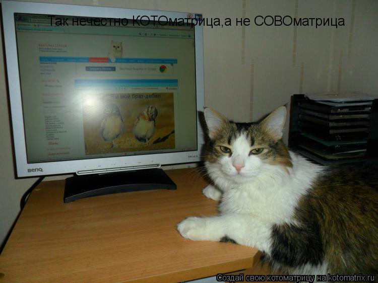 Так нечестно КОТОматрица,а не СОВОматрица... Котоматрица: Так нечестно КОТОматрица,а не СОВОматрица