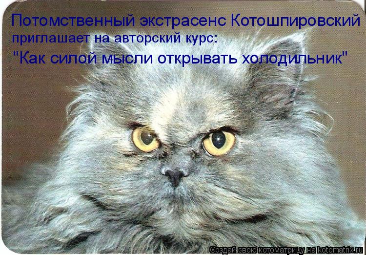 Котоматрица: Потомственный экстрасенс Котошпировский приглашает на авторский курс: "Как силой мысли открывать холодильник"