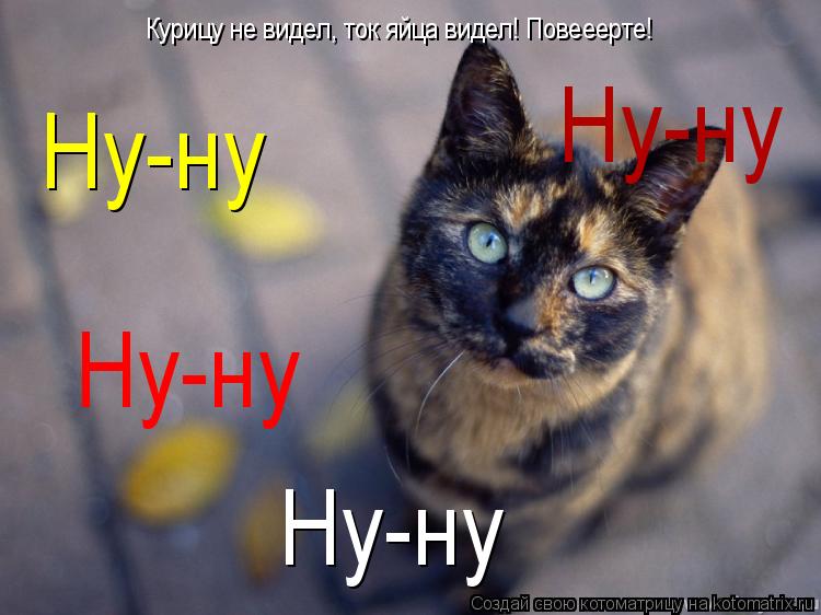 Котоматрица: Курицу не видел, ток яйца видел! Повееерте! Ну-ну Ну-ну Ну-ну Ну-ну