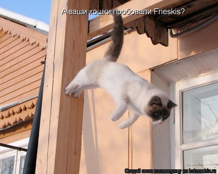 Котоматрица: А ваши кошки пробовали Frieskis?