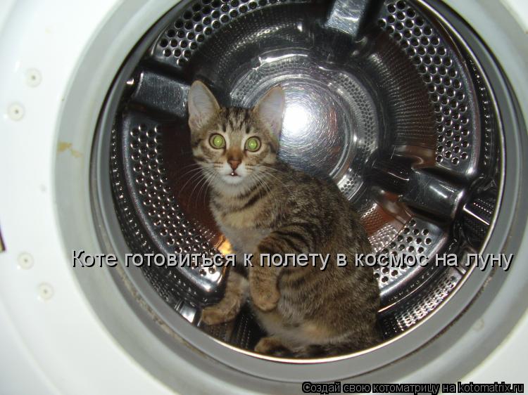 Котоматрица: Коте готовиться к полету в космос на луну