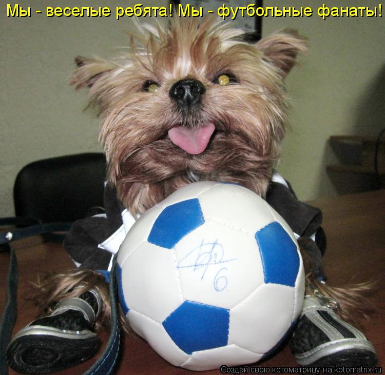Мы - веселые ребята! Мы - футбольные фанаты!... Котоматрица: Мы - веселые ребята! Мы - футбольные фанаты!