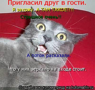 Котоматрица: Пригласил друг в гости. Я захожу. А ТАМ ТАКОЕ!!!! Страшное очень!! А потом расказали. Что у них зеркало на входе стоит.