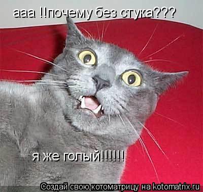 ааа !!почему без стука??? я же голый!!!!!!... Котоматрица: ааа !!почему без стука??? я же голый!!!!!!