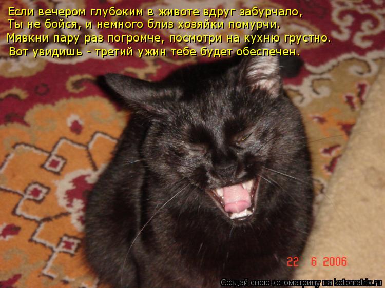 Если вечером глубоким в животе вдруг забурчало, Ты не бойся, и немного близ хозяйки помурчи. Мявкни п... Котоматрица: Если вечером глубоким в животе вдруг забурчало, Ты не бойся, и немного близ хозяйки помурчи. Мявкни пару раз погромче, посмотри на кухню гру