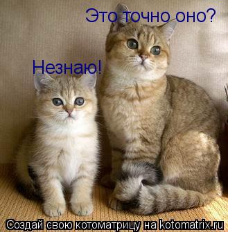 Это точно оно? Незнаю!... Котоматрица: Это точно оно? Незнаю!