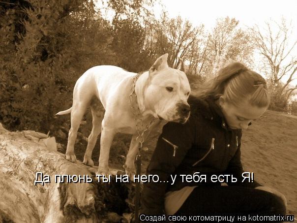 Да плюнь ты на него...у тебя есть Я!... Котоматрица: Да плюнь ты на него...у тебя есть Я!