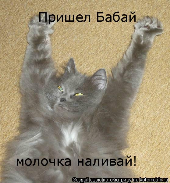 Пришел Бабай молочка наливай!... Котоматрица: Пришел Бабай молочка наливай!